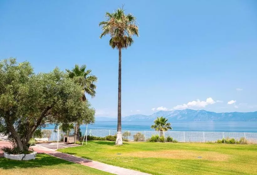 ホテル Blue Marine Village