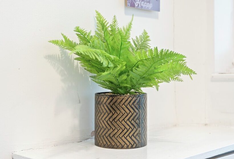 اقامتگاه Spacious 3 Bed House In Birmingham