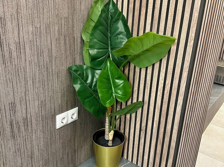 Velvet Hostels Pacifico