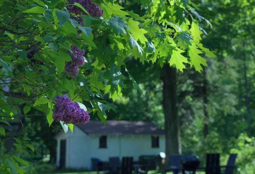 호텔 Dune Climb Inn