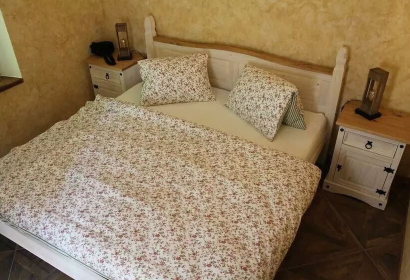 Hotelli Hrad Vildštejn