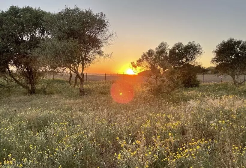 هتل روستایی Tranquilo Glamping