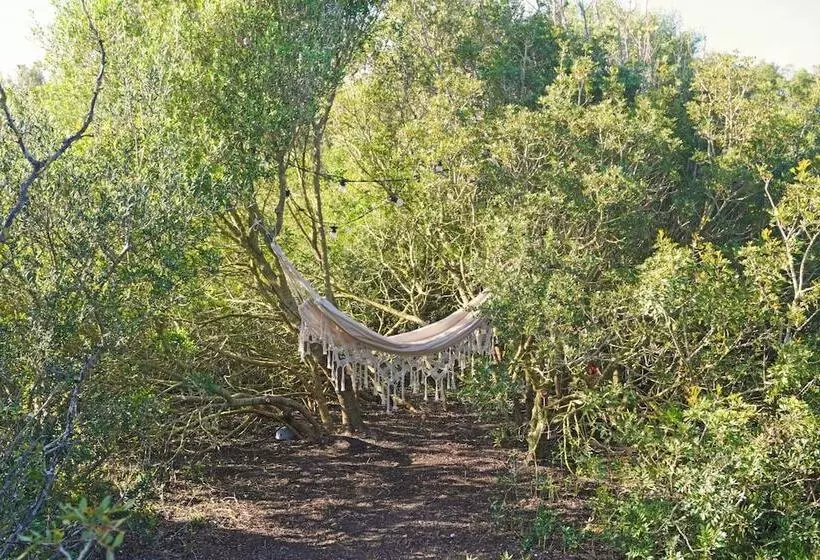 هتل روستایی Tranquilo Glamping