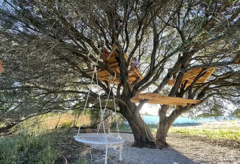هتل روستایی Tranquilo Glamping