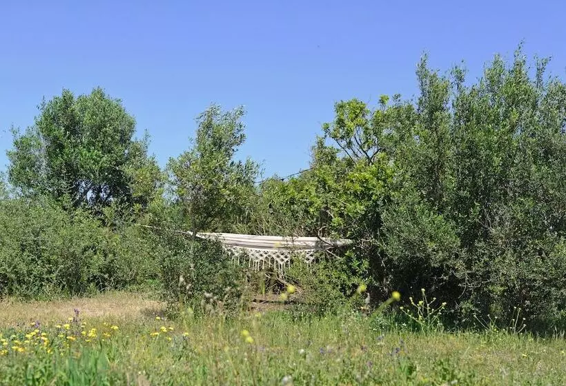 هتل روستایی Tranquilo Glamping