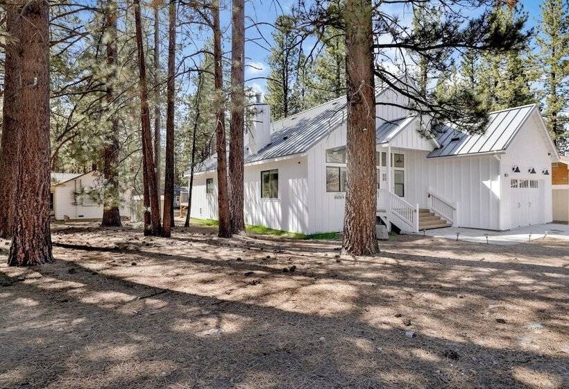 Mountain Palace #2018