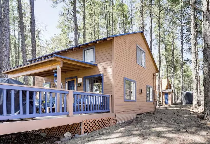 Nearby Hiking: Pet Friendly Cabin In Mormon Lake
