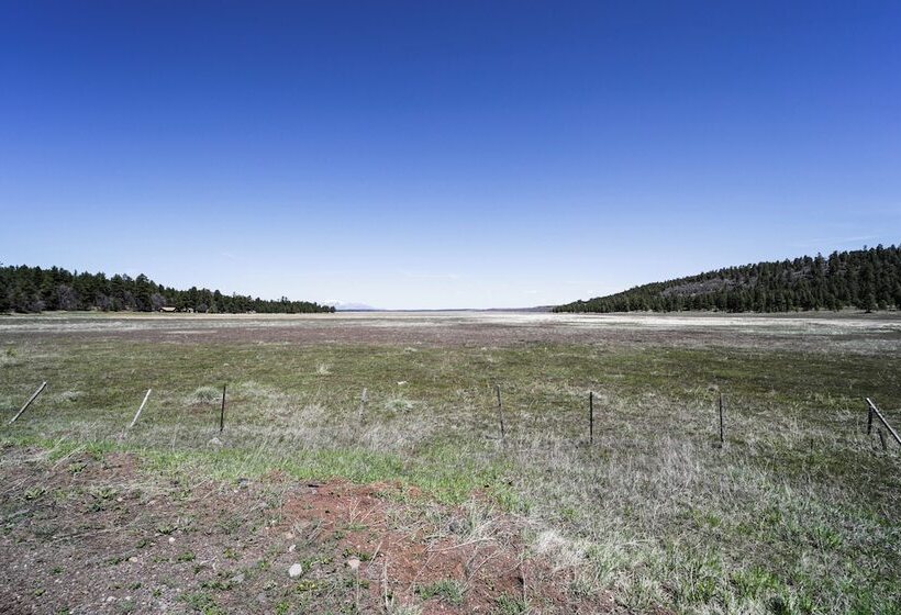 Nearby Hiking: Pet Friendly Cabin In Mormon Lake