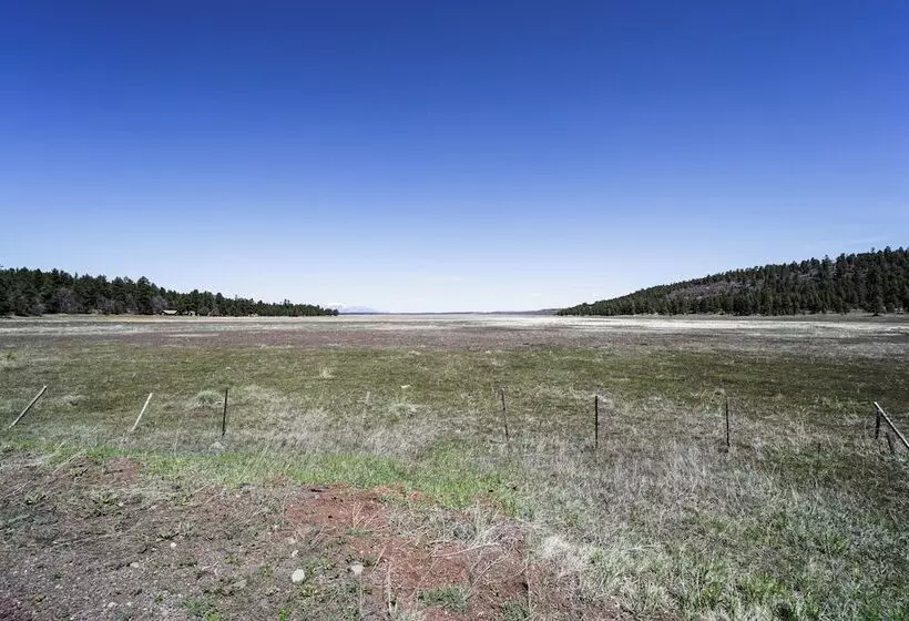 Nearby Hiking: Pet Friendly Cabin In Mormon Lake