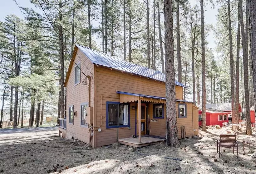 Nearby Hiking: Pet Friendly Cabin In Mormon Lake