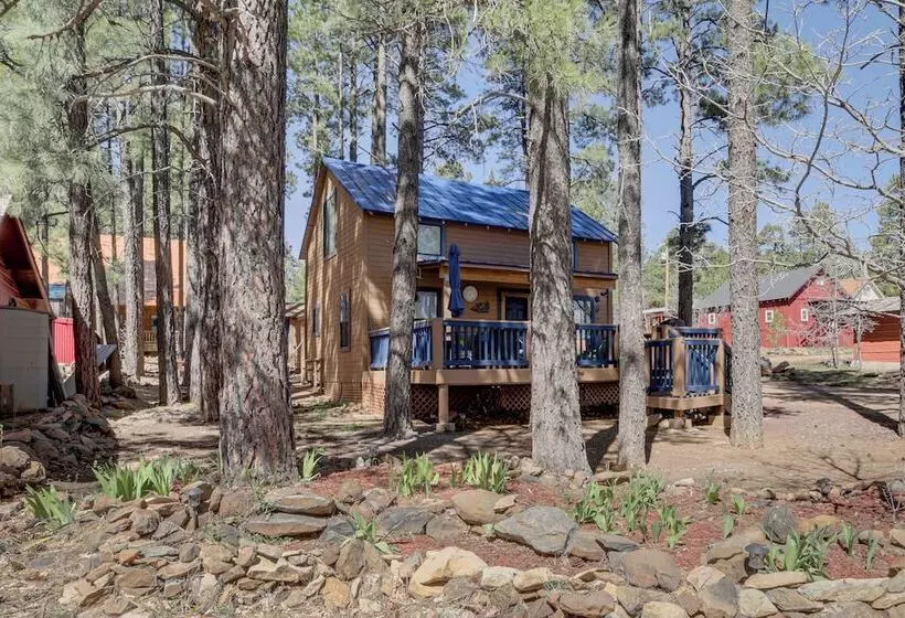 Nearby Hiking: Pet Friendly Cabin In Mormon Lake