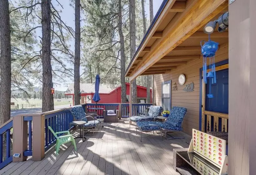 Nearby Hiking: Pet Friendly Cabin In Mormon Lake