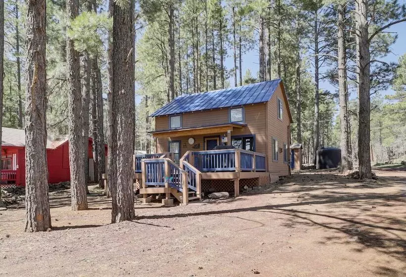 Nearby Hiking: Pet Friendly Cabin In Mormon Lake