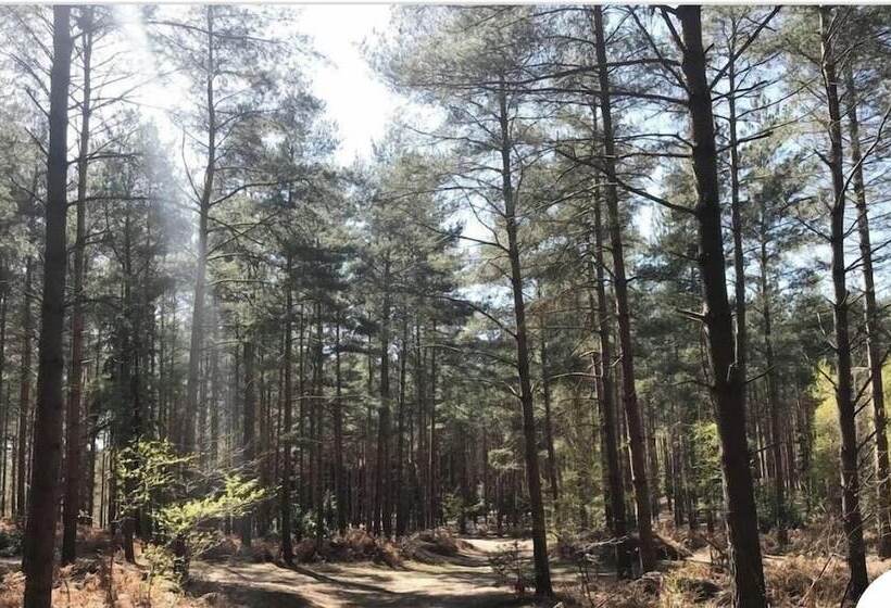 住所 Stunning 4 Bed House In Camberley