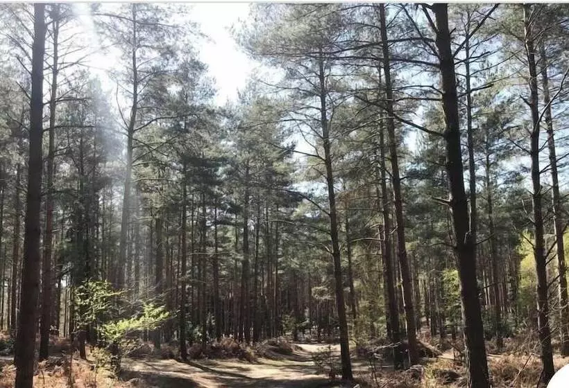 Residenssi Stunning 4 Bed House In Camberley