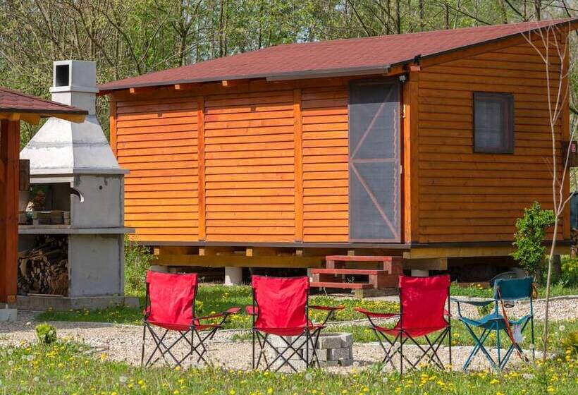 Robinzonski Kamp Hofman