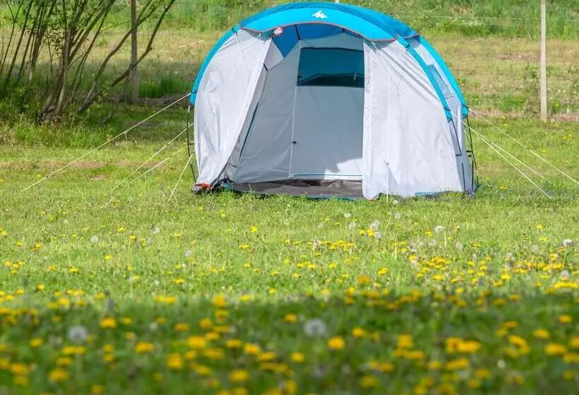 Robinzonski Kamp Hofman