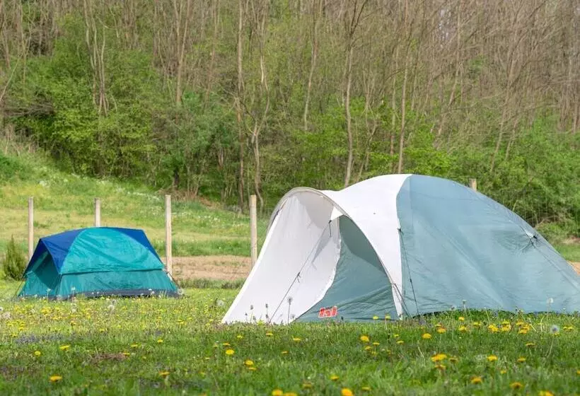 Robinzonski Kamp Hofman