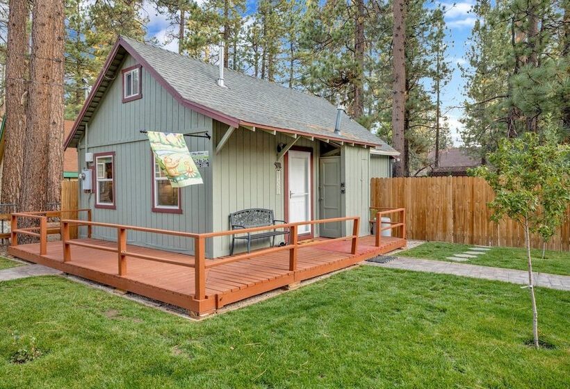 Beary Cozy Cabin #2315