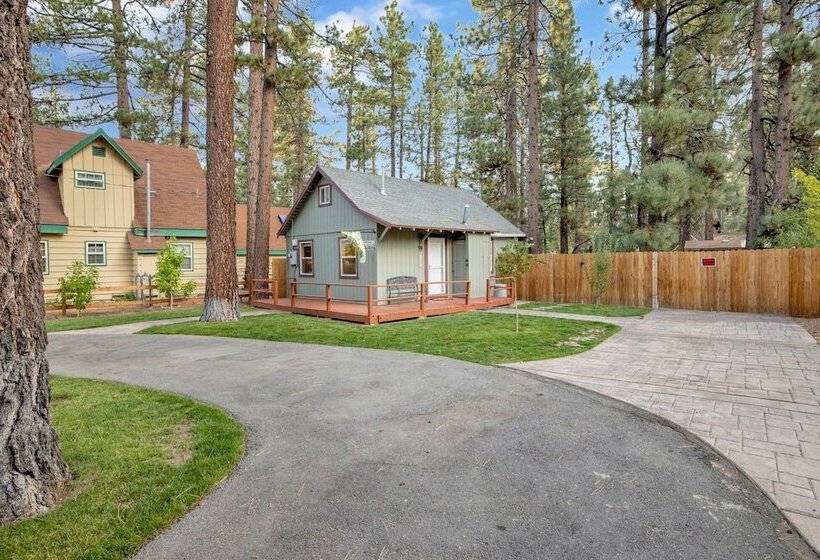 Beary Cozy Cabin #2315