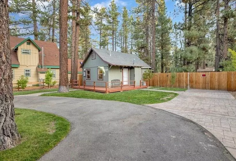 Beary Cozy Cabin #2315