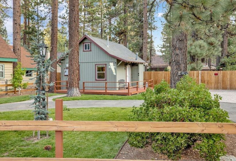 Beary Cozy Cabin #2315