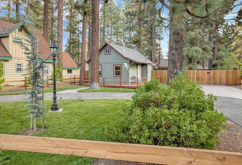 Beary Cozy Cabin #2315