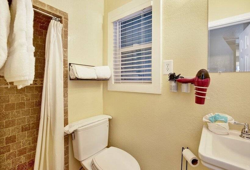 Beary Cozy Cabin #2315