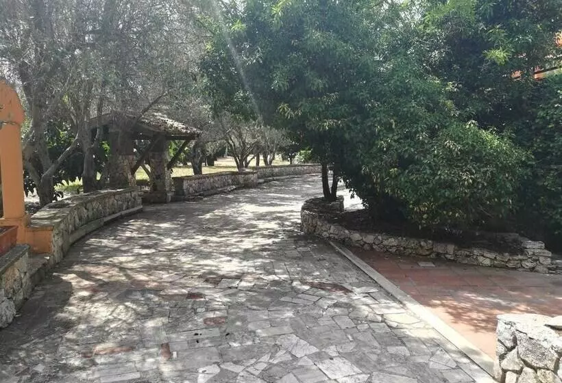 ホテル Ristorante La Collina