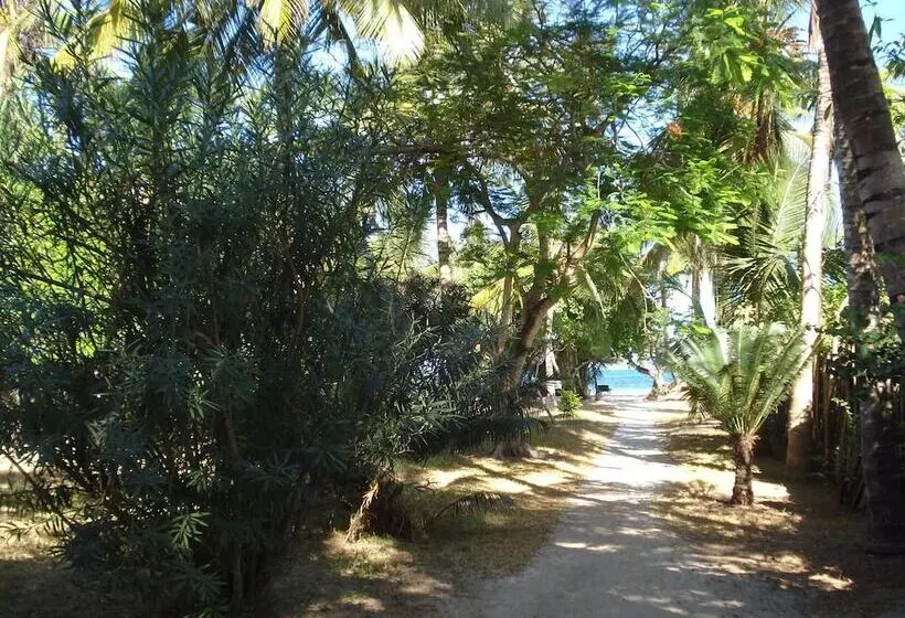 پانسیون Coconut Beach Apartments