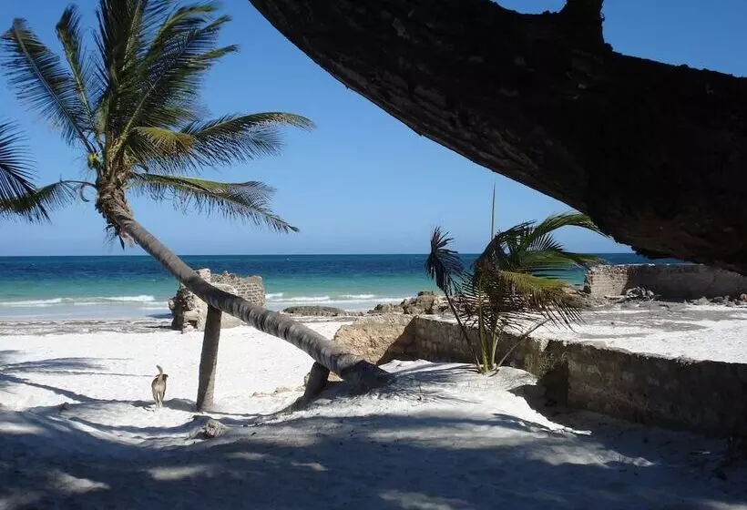 پانسیون Coconut Beach Apartments