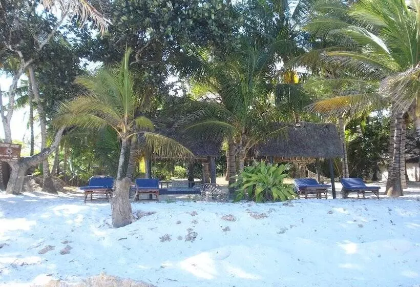 پانسیون Coconut Beach Apartments