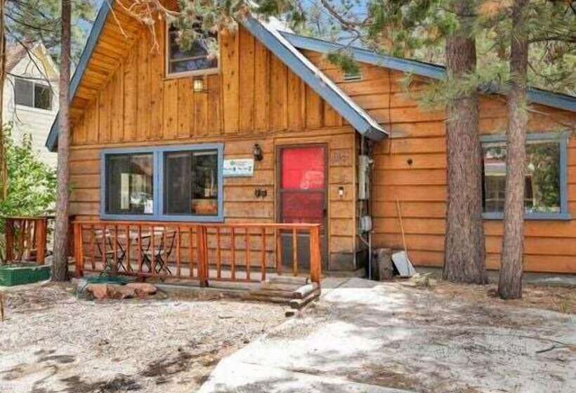 The Bear Bauhaus #2106