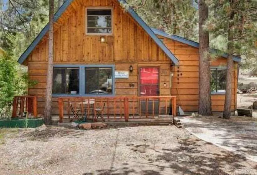 The Bear Bauhaus #2106