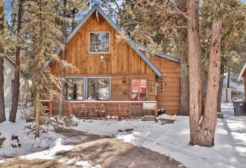 The Bear Bauhaus #2106