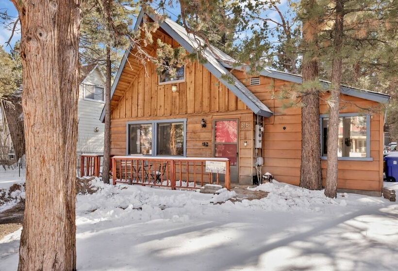 The Bear Bauhaus #2106