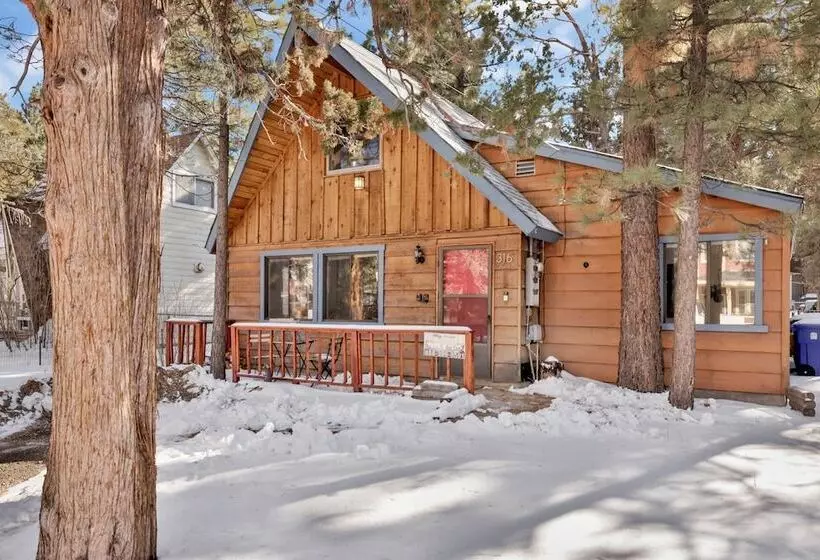 The Bear Bauhaus #2106