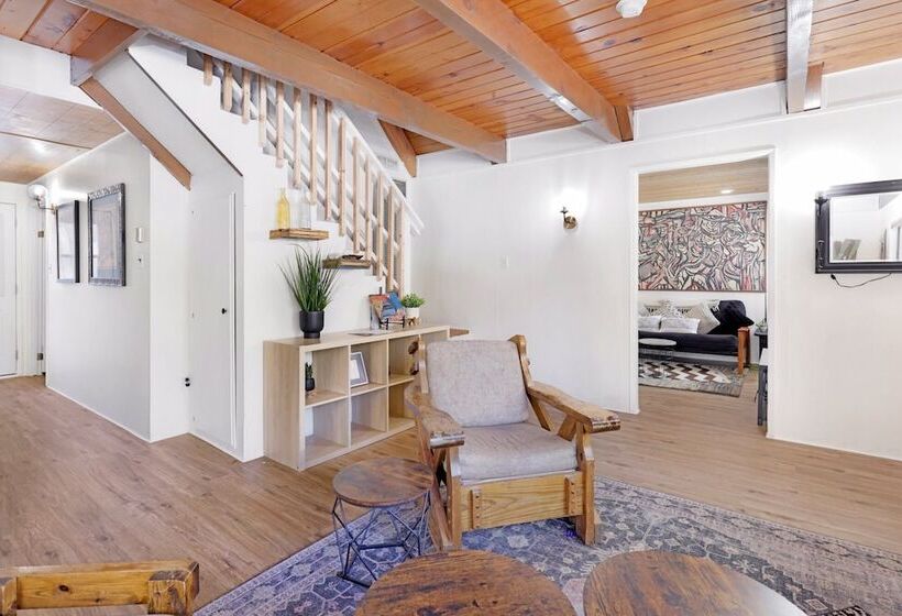 The Bear Bauhaus #2106