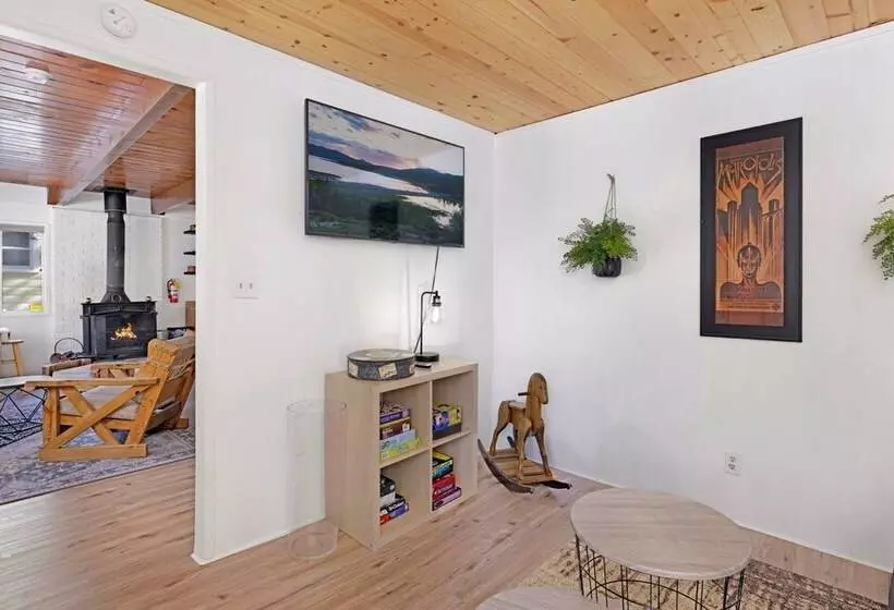 The Bear Bauhaus #2106