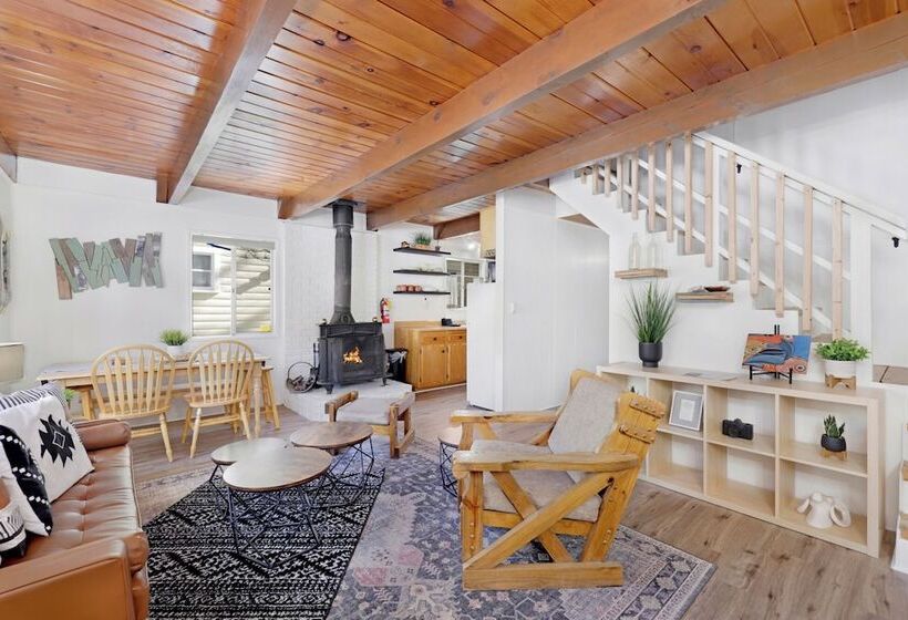 The Bear Bauhaus #2106