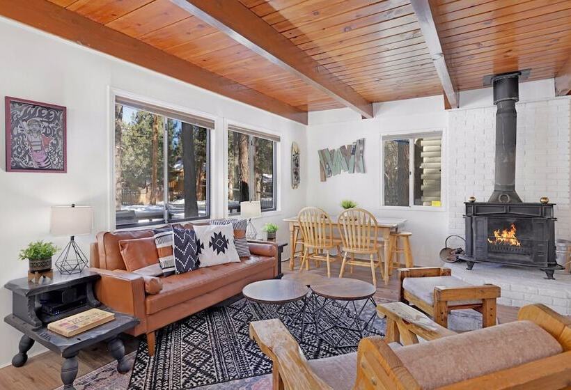 The Bear Bauhaus #2106