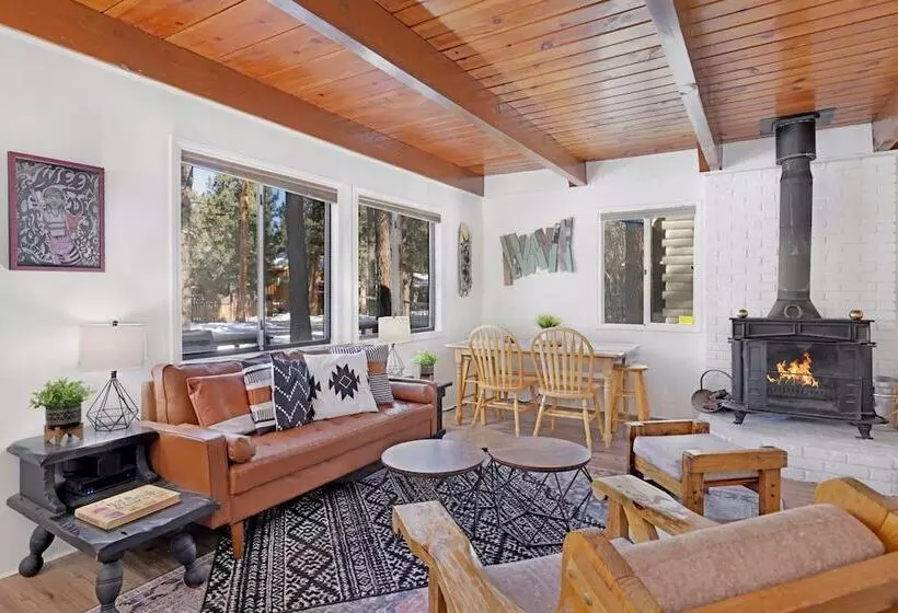 The Bear Bauhaus #2106