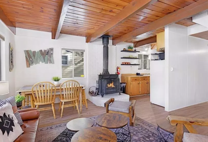 The Bear Bauhaus #2106