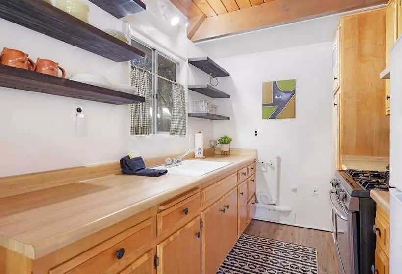 The Bear Bauhaus #2106