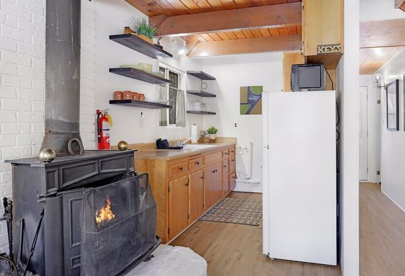 The Bear Bauhaus #2106