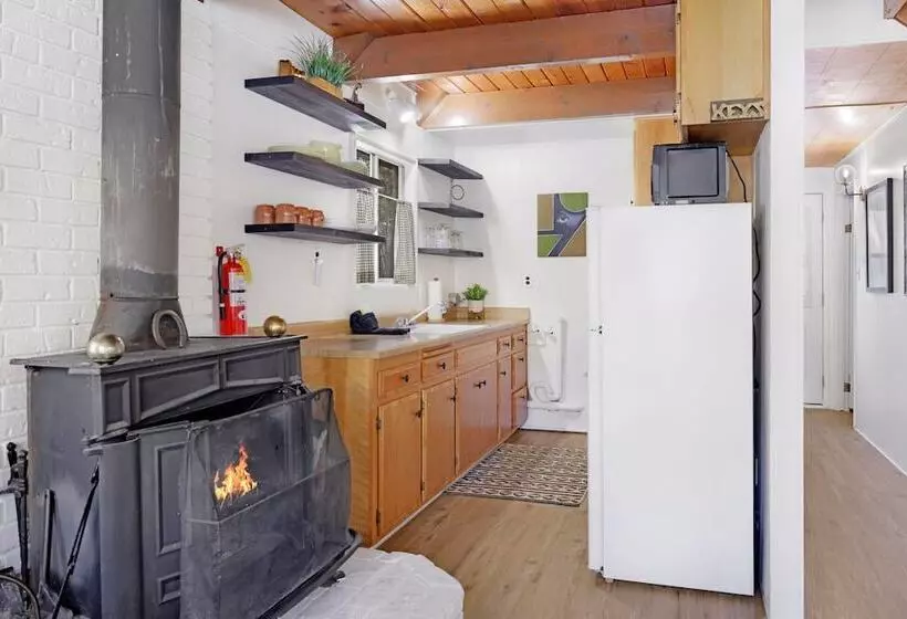 The Bear Bauhaus #2106