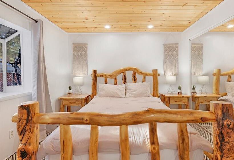 The Bear Bauhaus #2106