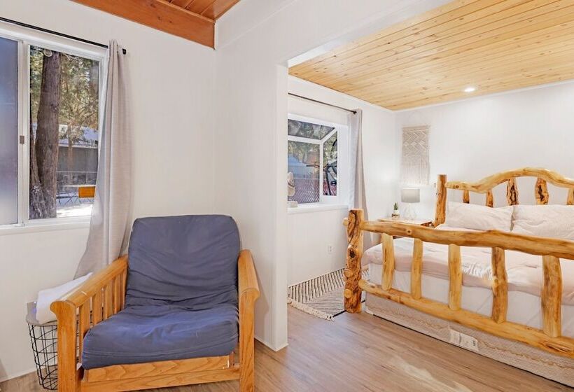 The Bear Bauhaus #2106