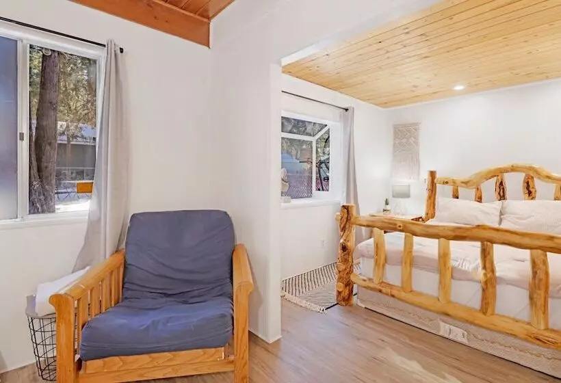 The Bear Bauhaus #2106