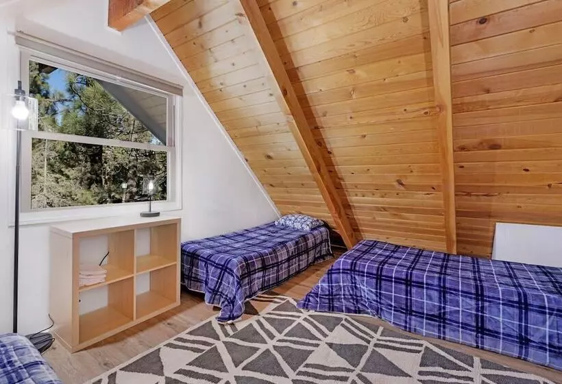 The Bear Bauhaus #2106